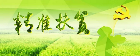 6339723229442e13a2256ec400d33376.png
