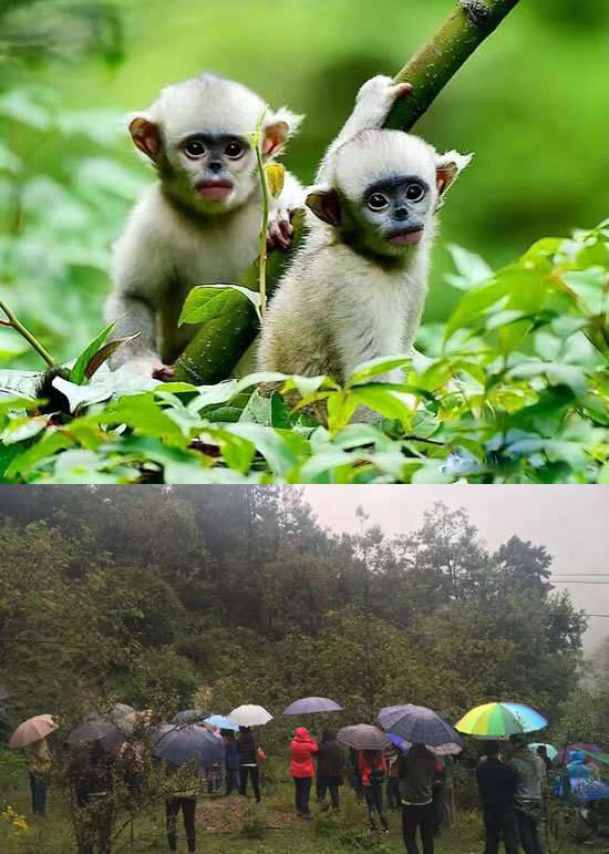 源码公益!把爱带到藏区