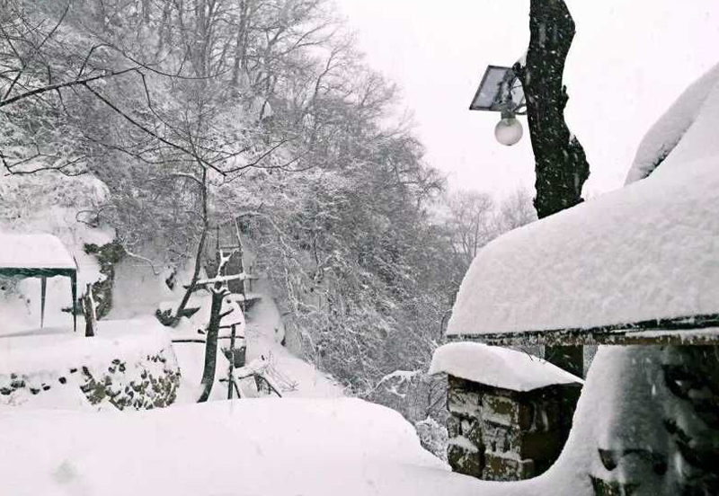 d9e5cc564ed5233e249164959500ac5d.png